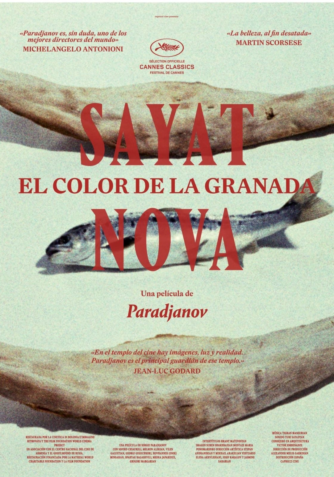 Festival Internacional de Cine de Mar del Plata PROGRAMACIÓN