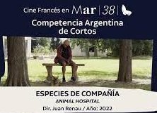 Premios Independientes 38° Festival de Cine de Mar del Plata