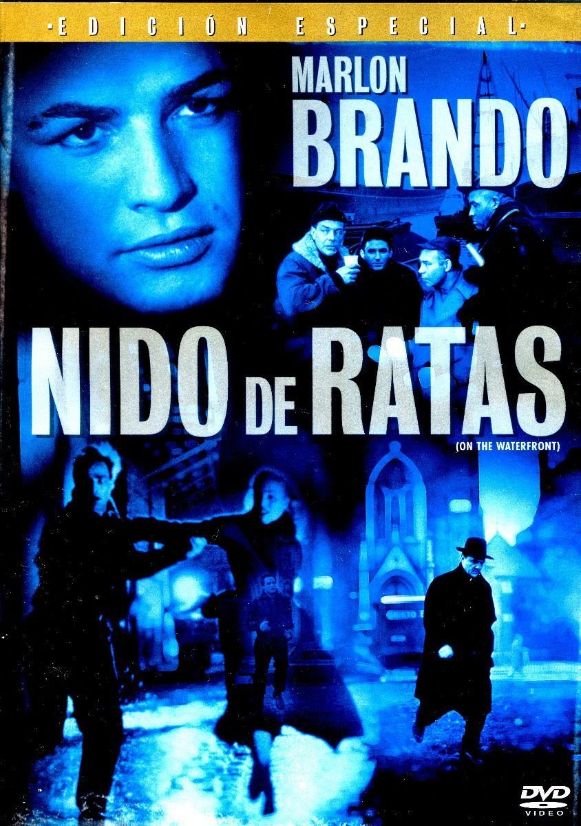 ℝ𝕖𝕔𝕠𝕣𝕕𝕒𝕞𝕠𝕤 𝕖𝕝 𝕖𝕤𝕥𝕣𝕖𝕟𝕠 𝕕𝕖 Nido de ratas