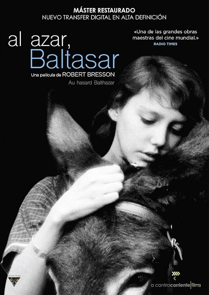 Festival Internacional de Cine de Mar del Plata PROGRAMACIÓN