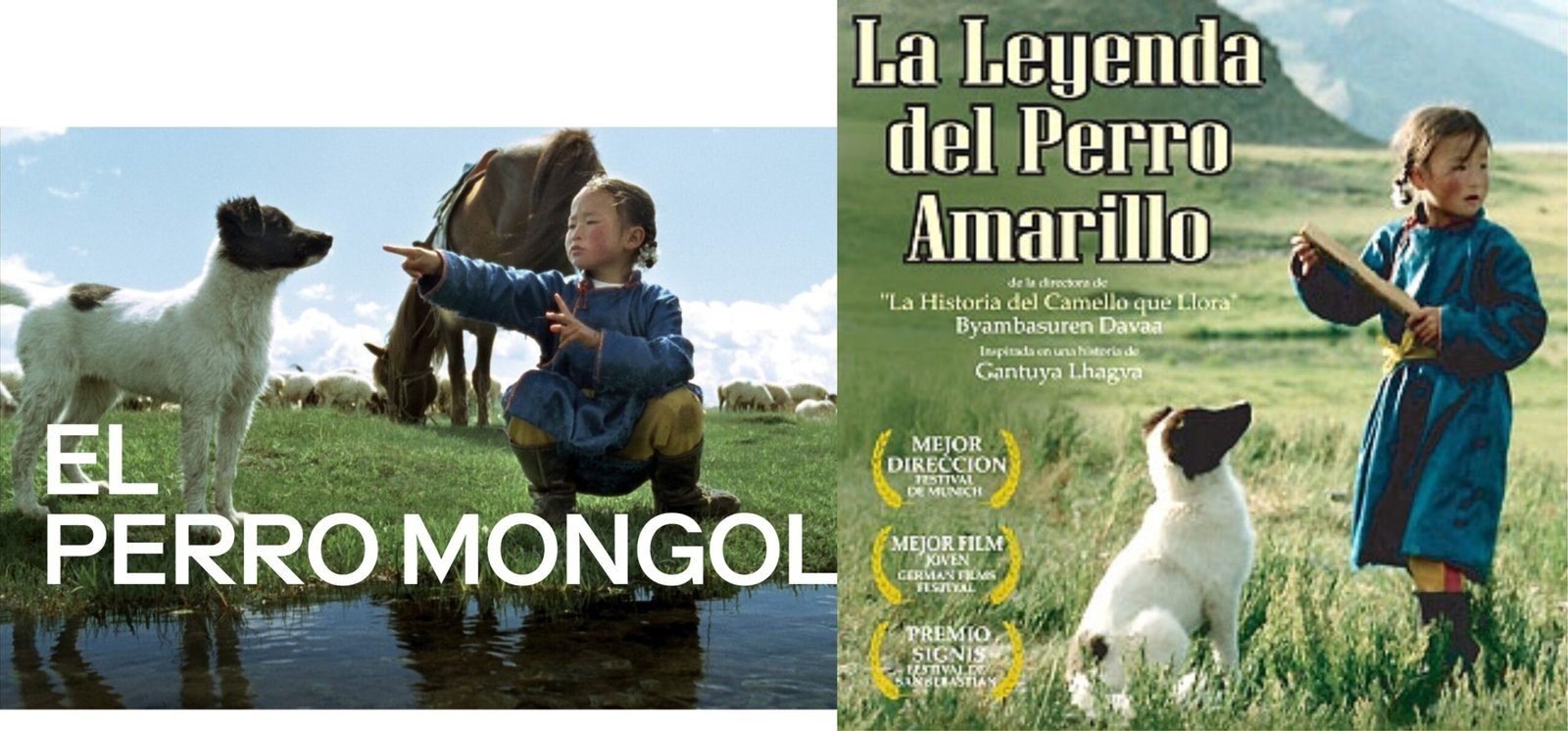 ℝ𝕖𝕔𝕠𝕣𝕕𝕒𝕞𝕠𝕤 𝕖𝕝 𝕖𝕤𝕥𝕣𝕖𝕟𝕠 𝕕𝕖       El perro mongol - La cueva del perro amarillo