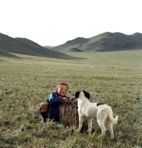 ℝ𝕖𝕔𝕠𝕣𝕕𝕒𝕞𝕠𝕤 𝕖𝕝 𝕖𝕤𝕥𝕣𝕖𝕟𝕠 𝕕𝕖 El perro mongol - La cueva del perro amarillo