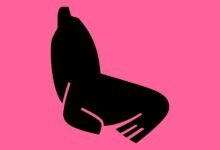 Photo of Convocatoria abierta-38ª edición del Festival Internacional de Cine de Mar del Plata