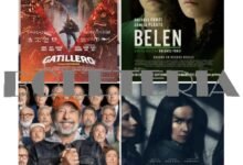 Photo of 💰ⒸⒾⓃⒺ Ⓔ ⒾⓃⓉⒺⓇⒺⓈ€💲£                       Balance de la actividad Cinematográfica Argentina en 2025