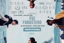 Photo of C̳o̳m̳e̳n̳t̳ó̳ l̳o̳ q̳u̳e̳ v̳i̳                                                            «Fui Forastero»