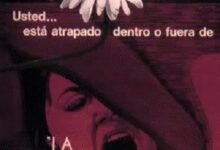 Photo of ℝ𝕖𝕔𝕠𝕣𝕕𝕒𝕞𝕠𝕤 𝕖𝕝 𝕖𝕤𝕥𝕣𝕖𝕟𝕠 𝕕𝕖                              La Isla