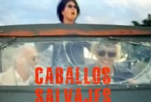 Photo of ℝ𝕖𝕔𝕠𝕣𝕕𝕒𝕞𝕠𝕤 𝕖𝕝 𝕖𝕤𝕥𝕣𝕖𝕟𝕠 𝕕𝕖                          «Caballos Salvajes»