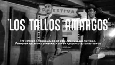 Photo of ¤ 𝓗𝓪𝓫𝓵𝓮𝓶𝓸𝓼 𝓭𝓮 𝓒𝓲𝓷𝓮 𝓽𝓮 𝓲𝓷𝓿𝓲𝓽𝓪 𝓪 𝓿𝓮𝓻 ¤ Los tallos amargos